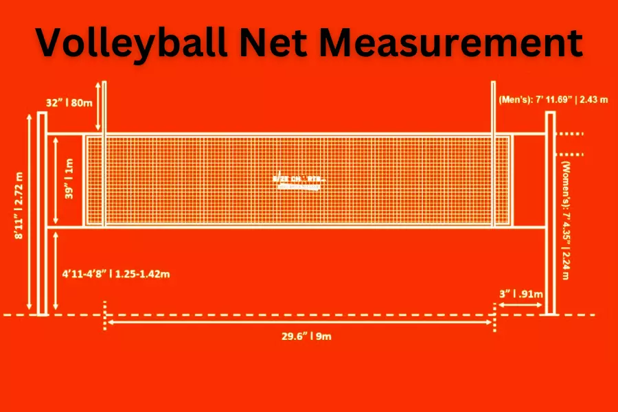 How Tall is Men’s Volleyball Net